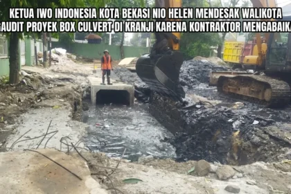 Ketua DPD IWO Indonesia Kota Bekasi Nio Helen saat meninjau proyek infrastruktur