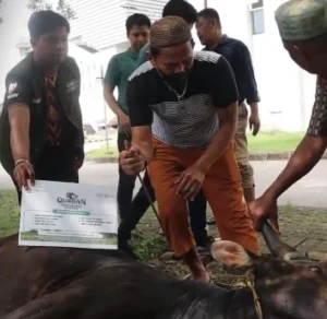 LAZISNU Sulsel menyembelih 8 ekor sapi kurban dan menyalurkan daging kurban kepada masyarakat di Kota Makassar.